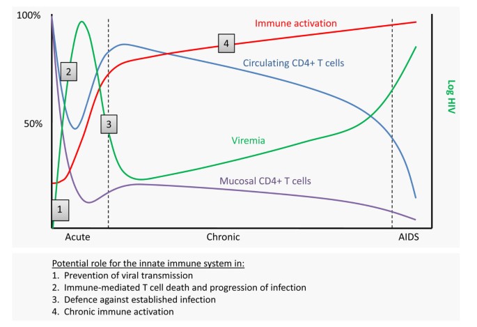 Hiding in Plain Sight: How HIV Evades Innate Immune Responses: Cell