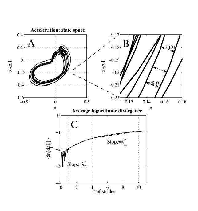 Equivalent circuit for single time constant model of tibia