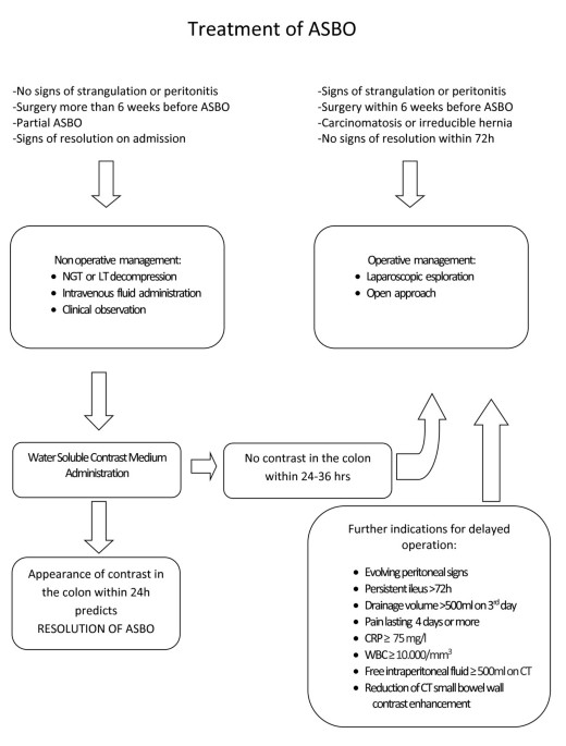 PDF) Development of a Web-Based Nonoperative Small Bowel Obstruction  Treatment Pathway App