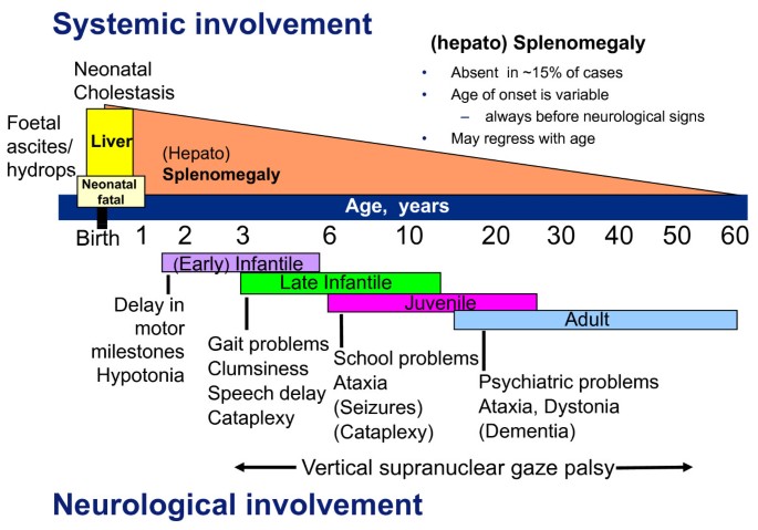 Niemann–Pick disease - Wikipedia