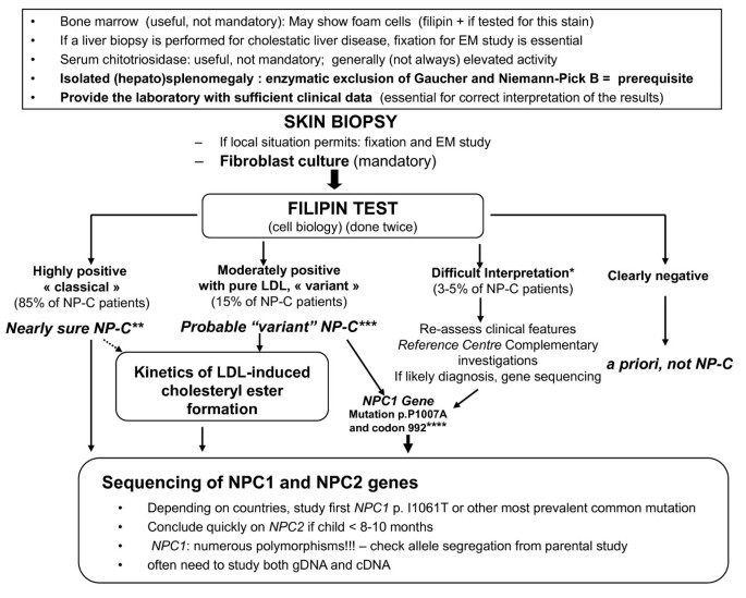 The pathogenesis of Niemann–Pick type C disease: a role for