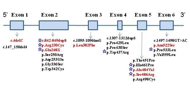 Niemann-Pick disease A or B in four pediatric patients and SMPD1