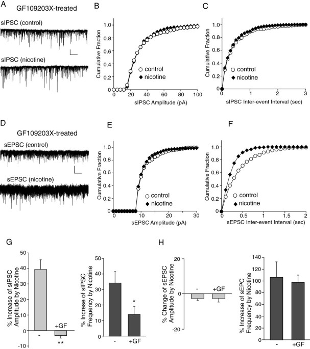Location and distribution of inhibitory synapses differentially affect