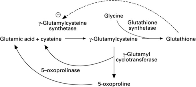 Acetaminophen-induced anion gap metabolic acidosis secondary to  5-oxoproline: a case report | Journal of Medical Case Reports