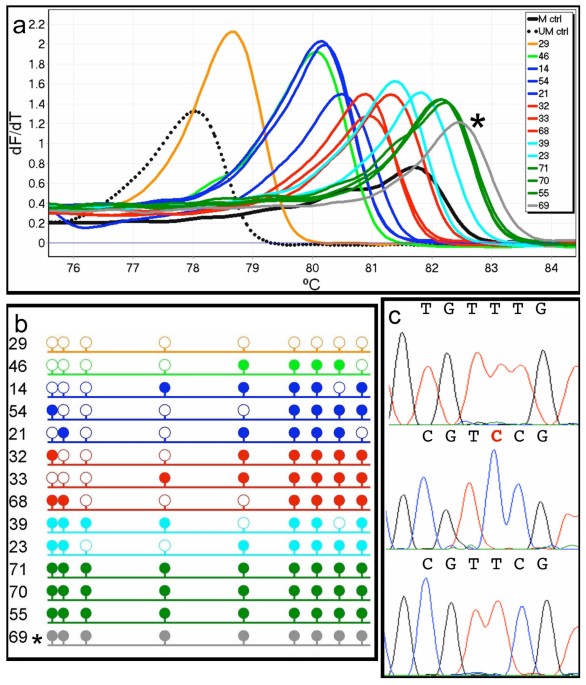 MSP for p15 methylation. Primers were for M sequence respectively