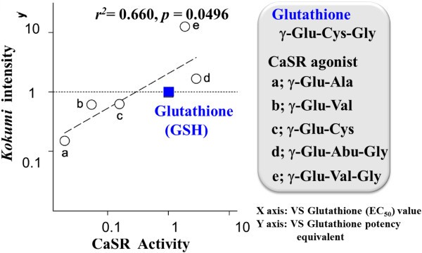 Mechanism of the perception of “kokumi” substances and the sensory characteristics of the “kokumi” peptide, γ-Glu-Val-Gly | Flavour