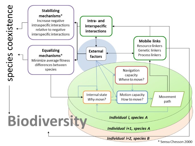 Recent trends in movement ecology of animals and human mobility, Movement  Ecology