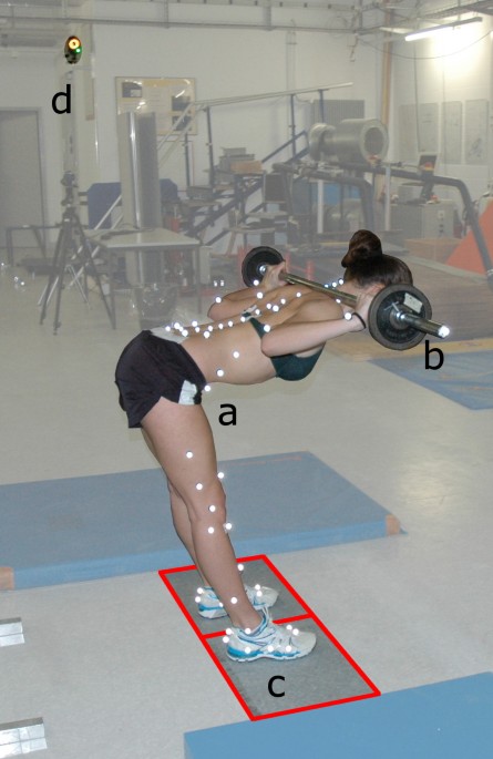 PDF) A Three Dimensional Kinetic Analysis of Sumo and Conventional Style  Deadlifts