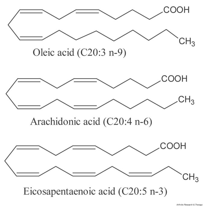 Fish oil supplements: do they have a role in the management of rheumatoid arthritis? - NPS MedicineWise