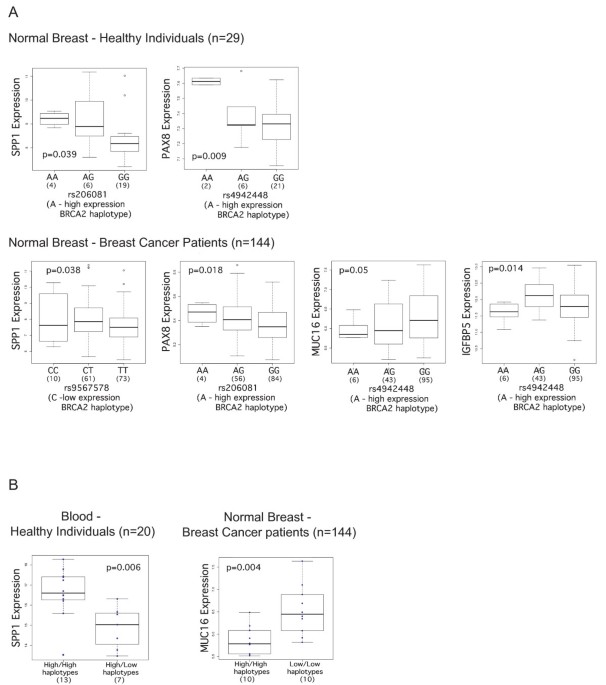 Effects of BRCA2 cis-regulation in normal breast and cancer risk amongst  BRCA2 mutation carriers, Breast Cancer Research