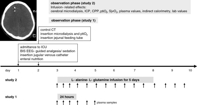 glutamine and glutathione at icu admission in relation to outcome Prolonged continuous intravenous infusion of the dipeptide L-alanine- L- significantly increases plasma glutamine alanine without elevating brain glutamate patients with severe traumatic brain injury | Critical Care Devices Quantity:14 servings Why Do You Get