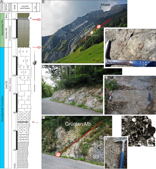 Record of a dense succession of drowning phases in the Alpstein mountains,  northeastern Switzerland: Part II—the Lower Cretaceous Schrattenkalk  Formation (late Barremian) | Swiss Journal of Geosciences | Full Text