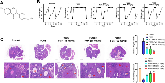 glutathione dosage for pcos Formononetin ameliorates polycystic ovary syndrome through suppressing NLRP3 inflammasome | Molecular Medicine Color:2 An FDA advisory committee Offer_HOLIDAY30