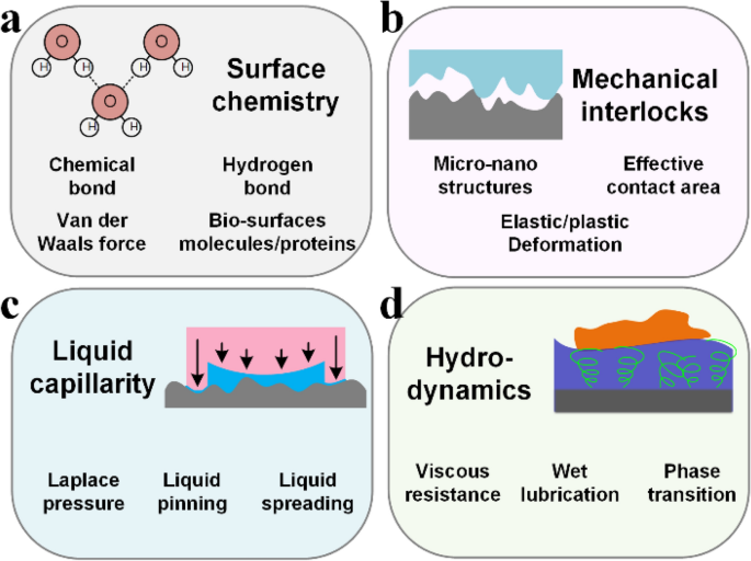 Lubricant-Infused Surfaces with Built-In Functional Biomolecules