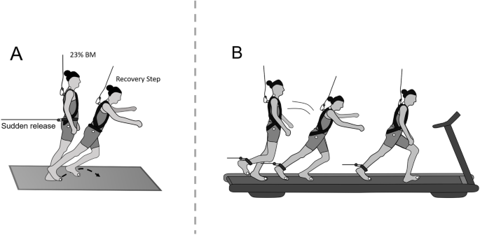 Balancing Act: The Case for Adding Stability Training to Your