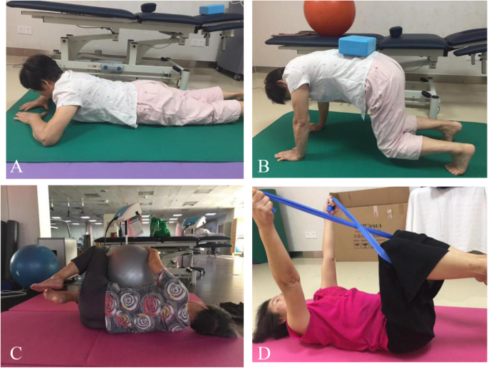 Effects of core stability training on older women with low back pain: a  randomized controlled trial, European Review of Aging and Physical  Activity