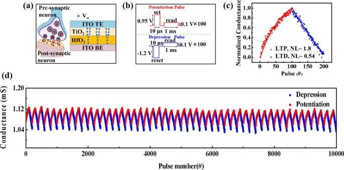 Optoelectronic Artificial Synapses Based on Two-Dimensional  Transitional-Metal Trichalcogenide