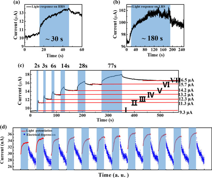 Optoelectronic Artificial Synapses Based on Two-Dimensional  Transitional-Metal Trichalcogenide