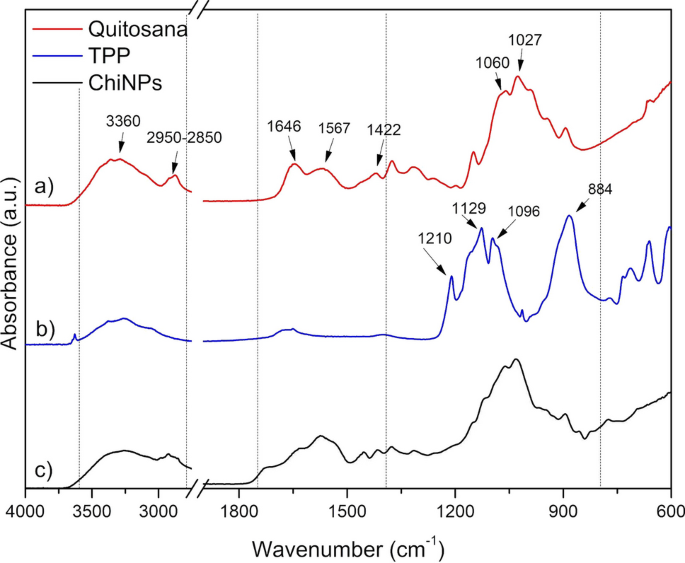 A novel N95 respirator with chitosan nanoparticles: mechanical, antiviral,  microbiological and cytotoxicity evaluations