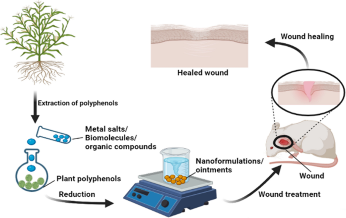 glutathione for wound healing Greener healing: sustainable nanotechnology for advanced wound care | Discover Nano