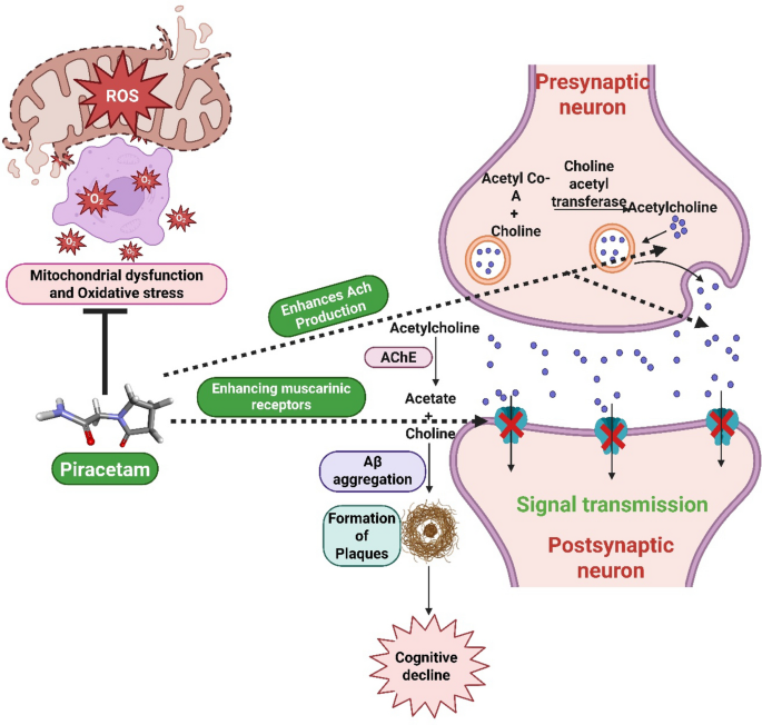 Solid lipid nanoparticles enhance piracetam's neuroprotective action in streptozotocin-induced cognitive dysfunction | Discover Nano