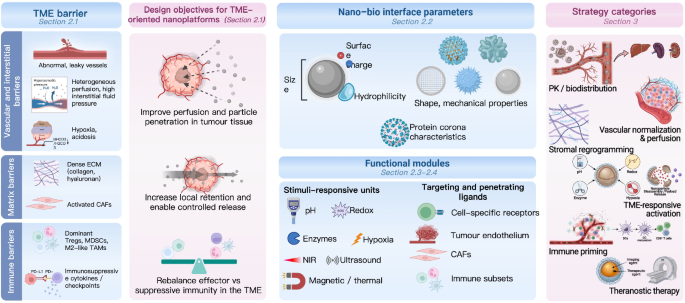 Multifunctional nanotherapeutics for tumor microenvironment modulation in solid tumor therapy | Discover Nano