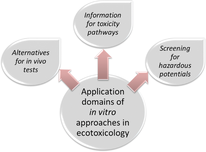 What is an In Vivo Test?