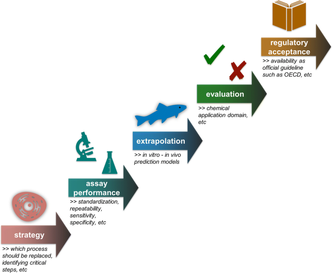 In vivo, in vitro, in silico  the right variation towards stopping  animal testing. - DV8 World News