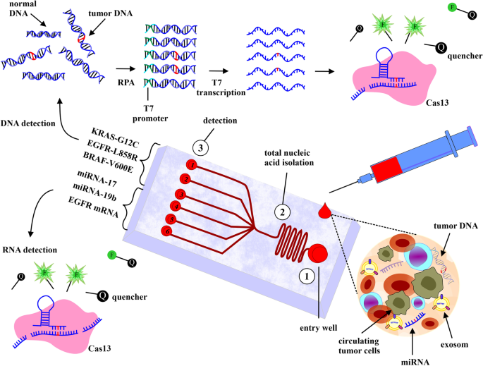 Recent advances for cancer detection and treatment by microfluidic