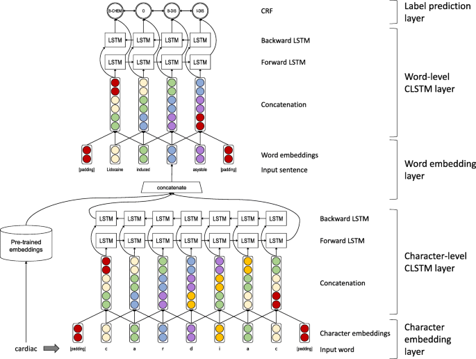 Biomedical named entity normalization via interaction-based