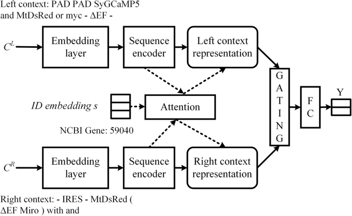 Biomedical named entity normalization via interaction-based