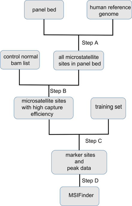 Machine Learning Based Classification of Microsatellite Variation