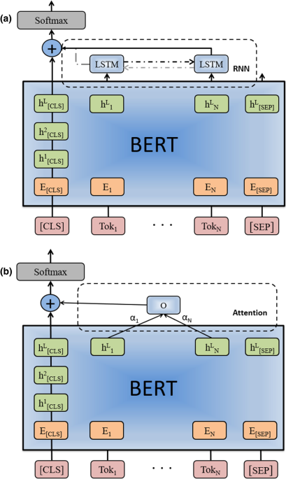 How Fine-tuning Changes BERT