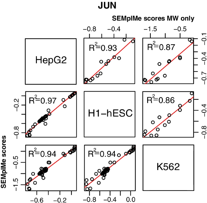 Modeling methyl-sensitive transcription factor motifs with an