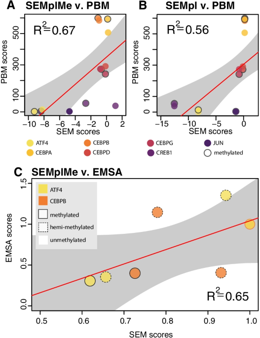 Modeling methyl-sensitive transcription factor motifs with an