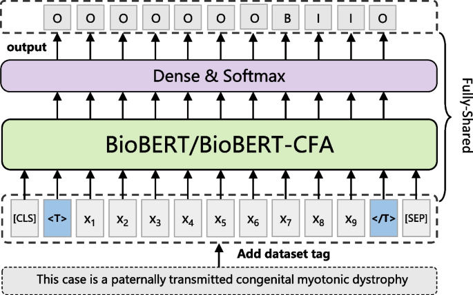 Biomedical named entity normalization via interaction-based