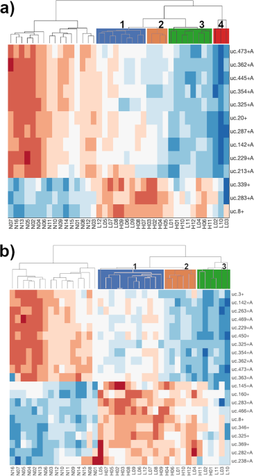 Transcribed ultraconserved regions (T-UCRs) associated with cancer