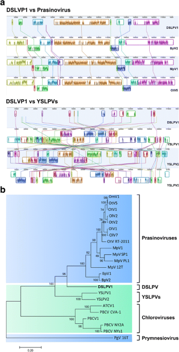 | freshwater Full reveals virus Genomics genome phycodnaviruses | prasinoviruses-related a Text The BMC of unusual of diversity