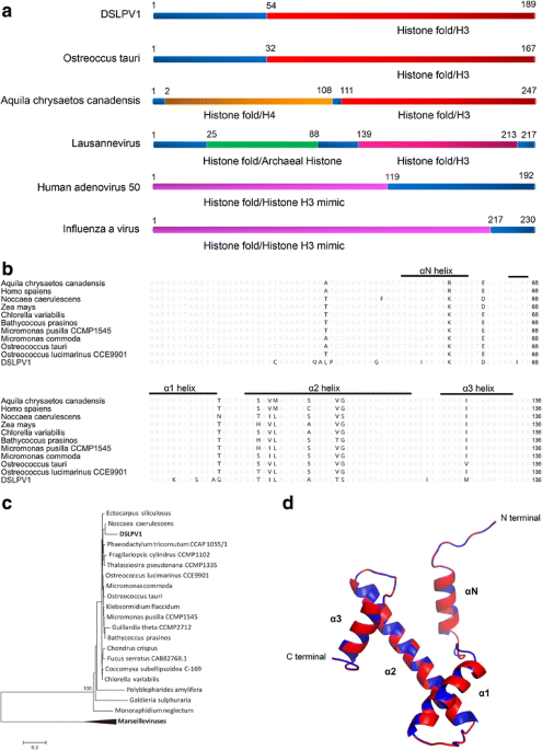 The genome of a prasinoviruses-related freshwater virus reveals unusual  diversity of phycodnaviruses | BMC Genomics | Full Text