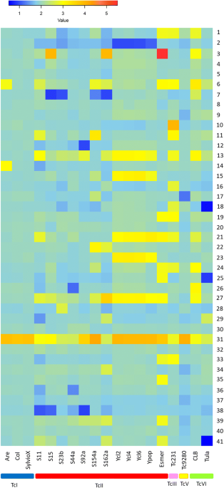 Frontiers  Trypanosoma cruzi Genomic Variability: Array