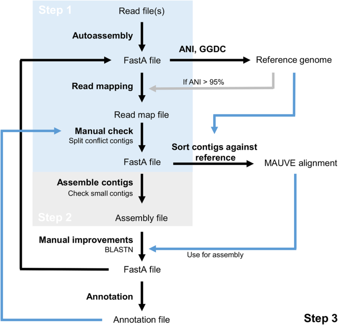 SPEM diagram describing how analysed companies perform QBGA processes