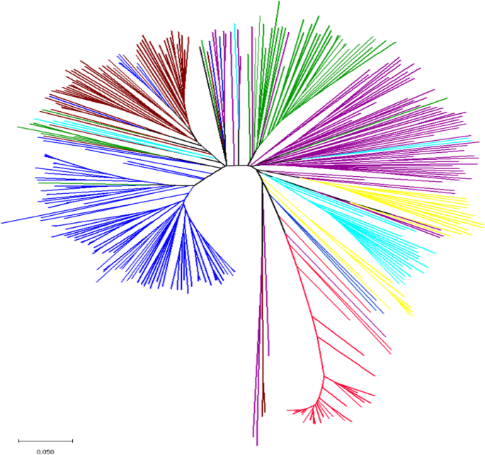 Morphological characteristics of linseed genotypes (A) Growth Habit