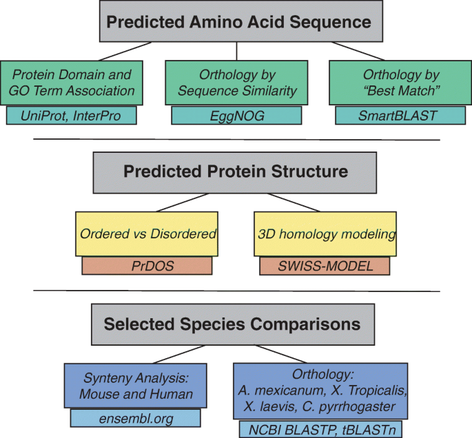 Bioinformatic analyses - Genevia Technologies