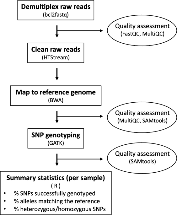 A new mouse SNP genotyping assay for speed congenics: combining  flexibility, affordability, and power | BMC Genomics | Full Text
