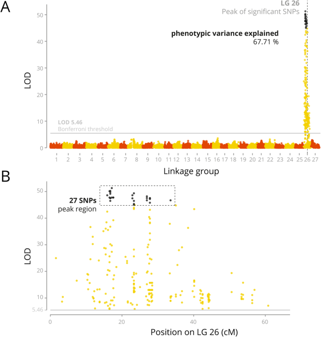 A high-density linkage map and sex-linked markers for the Amazon Tambaqui  Colossoma macropomum | BMC Genomics | Full Text