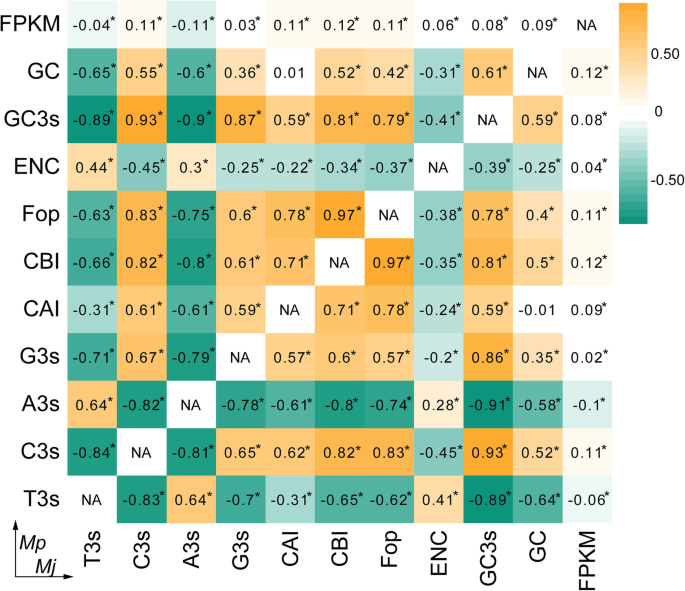 Mitogenome-wise codon usage pattern from comparative analysis of