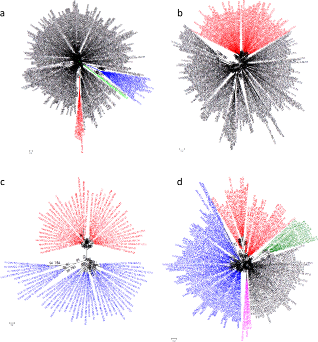 Genome-wide and comparative phylogenetic analysis of senescence-associated NAC transcription factors in sunflower (Helianthus annuus)