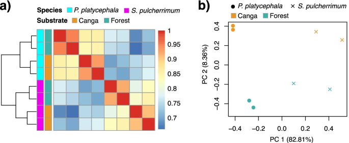 De Novo Transcriptome Assembly and Functional Annotation in Five Species of  Bats