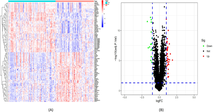 Co-expression network analysis identifies potential candidate hub genes in severe influenza patients needing invasive mechanical ventilation