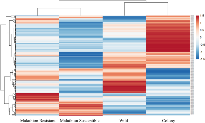 Potential key genes involved in metabolic resistance to malathion in the southern house mosquito, Culex quinquefasciatus, and functional validation of CYP325BC1 and CYP9M12 as candidate genes using RNA interference